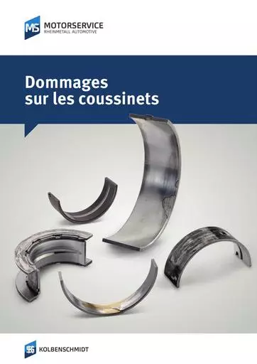 Dommages sur les coussinets 870263