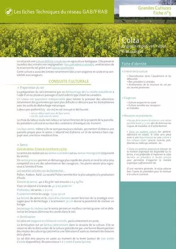 Colza bio