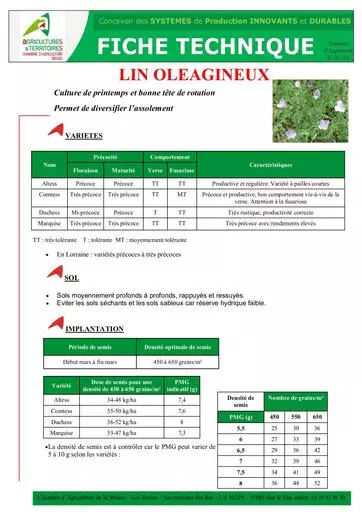 FT Lin de printemps