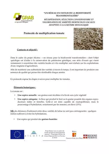 Fiche multiplication tomate bio