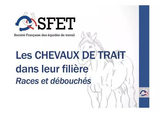 Cheval de trait filiere et debouches