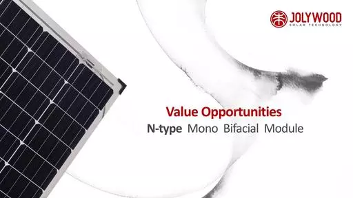 Jolywood  Bifacial Module Value (1)
