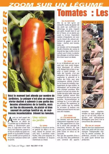 Tomates