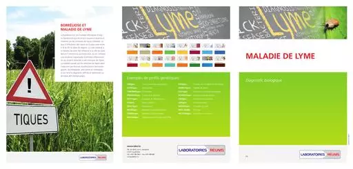 Brochure lyme