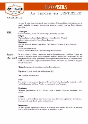 Conseils jardin septembre