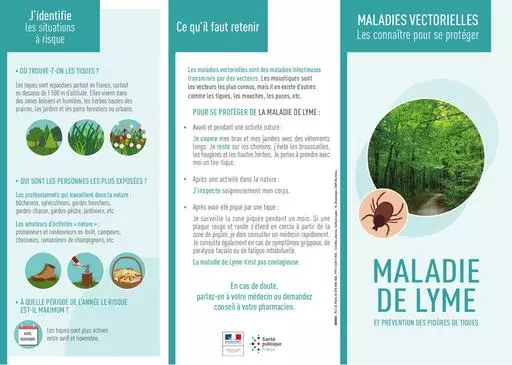 Maladie de lyme depliant gp