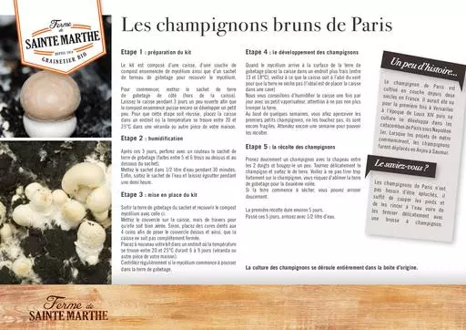 Champignons bruns de paris