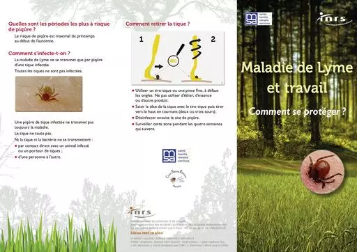 News 31375 Lyme INRS ED 6304