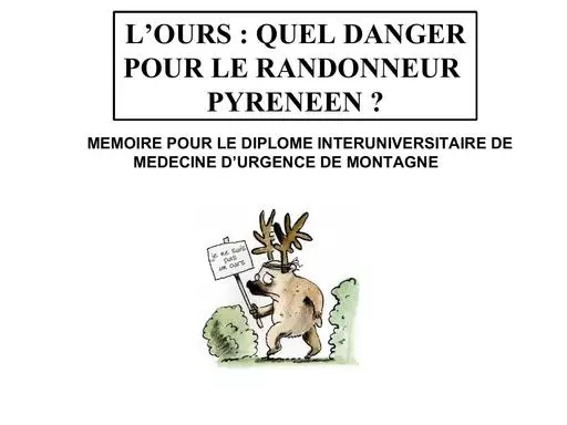 Ours  homme