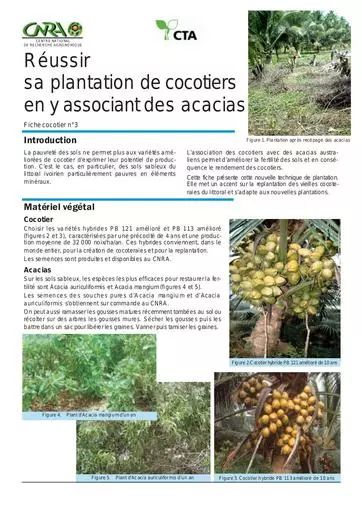 CNRA cocotier acacia