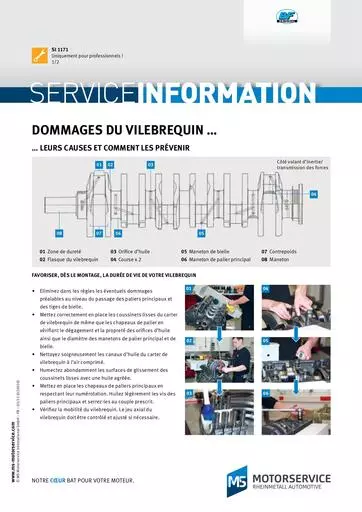 Dommages du vilebrequinleurs causes et comment les prevenir 56710