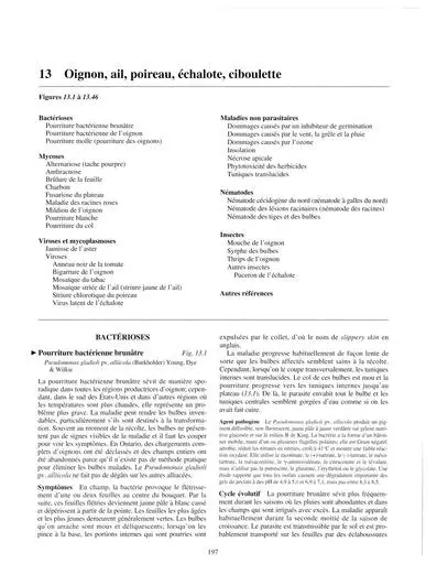 Ch13 oignon
