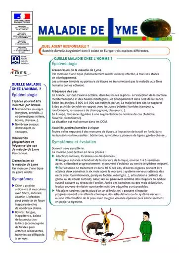 Lyme 1 2 06 1