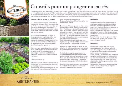 Conseils potager en carres