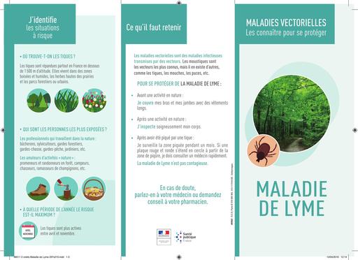 Maladie de lyme depliant gp 2016