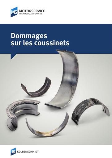 Dommages sur les coussinets 870263