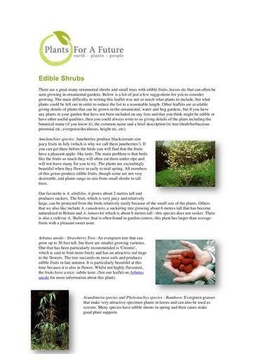 Edible shrubs