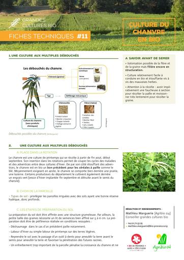 Bio de paca chanvre (1)