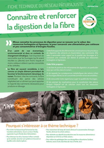 FichePaturAjuste 12 DIGESTION