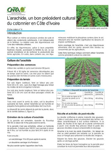 CNRA coton4 apres arachide