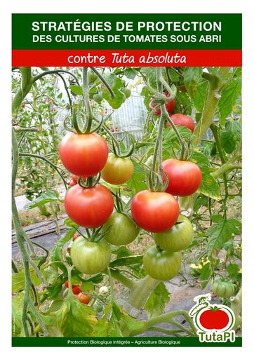 Cahier technique tutapi tomate