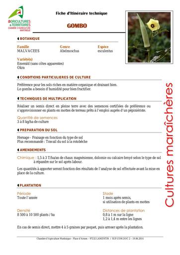 ITK Martinique Gombo 2014