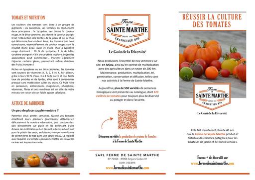 Reussir culture tomates