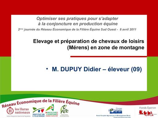 Cheval de merens loisir