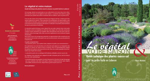 Guide plantes couvre sol jardin facile