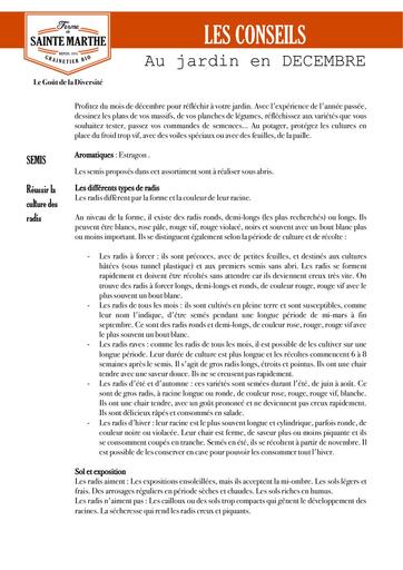 Conseils jardin decembre