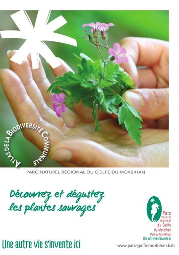 Decouvrez degustez plantes sauvages Livret animation