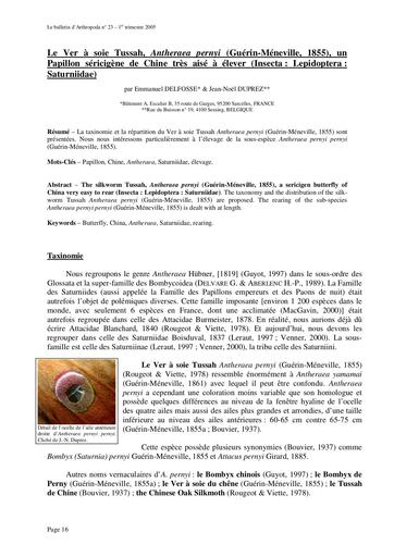 Antheraea pernyi   elevage ver a soie