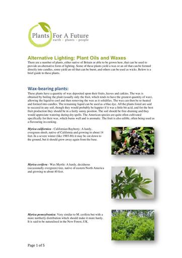 Alternative lighting