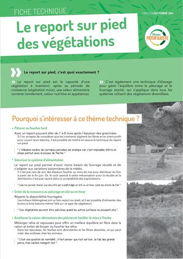 FichePaturAjuste 2 Report sur pied