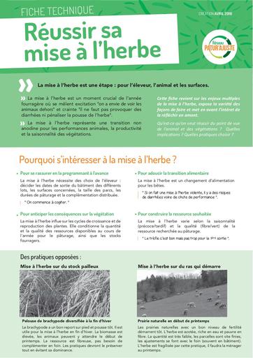 FichePaturAjuste 5 Mise a l herbe