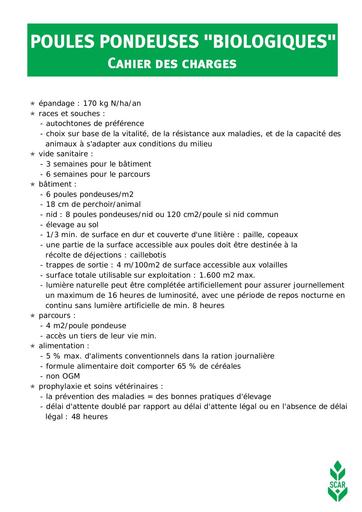 Poules pondeuses bio