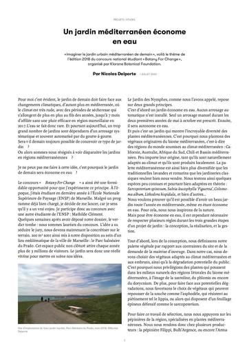 Un jardin méditerranéen économe en eau