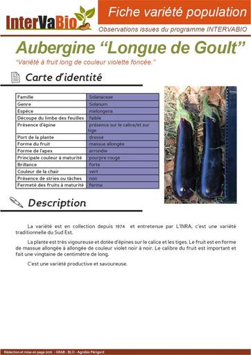 Aubergine Longue de Goult