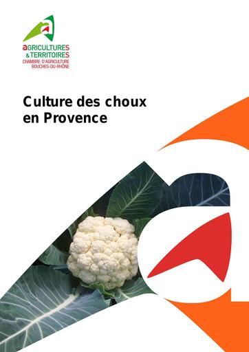3 Fiche culturale Choux provence