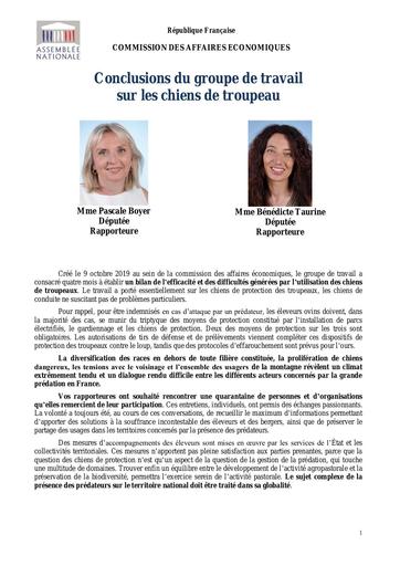 Conclusions GT Chiens de troupeau V2 revu secrétariat