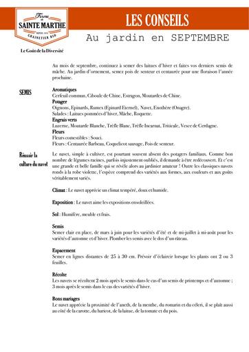 Conseils jardin septembre