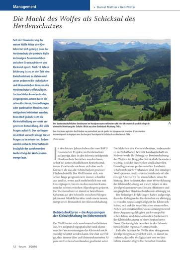 Herdenschutz und Wolf 3 2010 d f