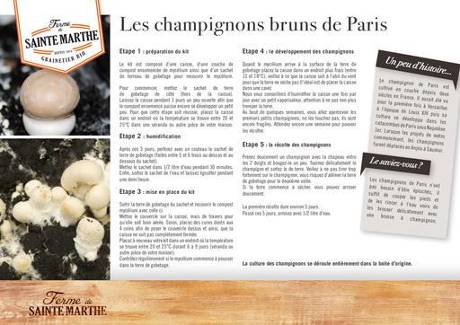 Champignons bruns de paris