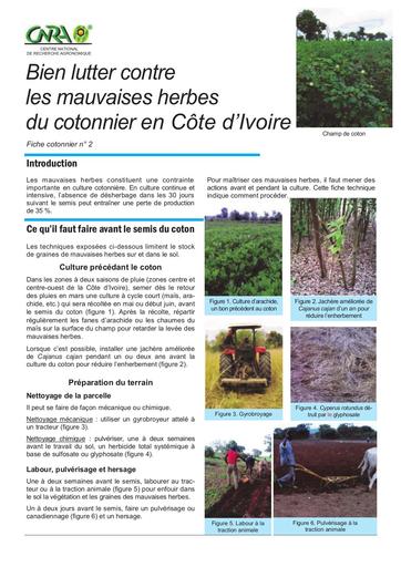 CNRA coton desherbage