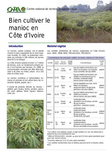 CNRA cultiver manioc cote ivoire