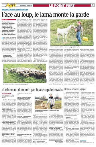 Lama protection loup