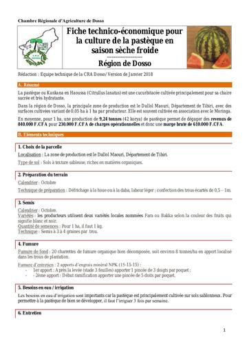 FTE pasteque saison seche froide Dosso 2018