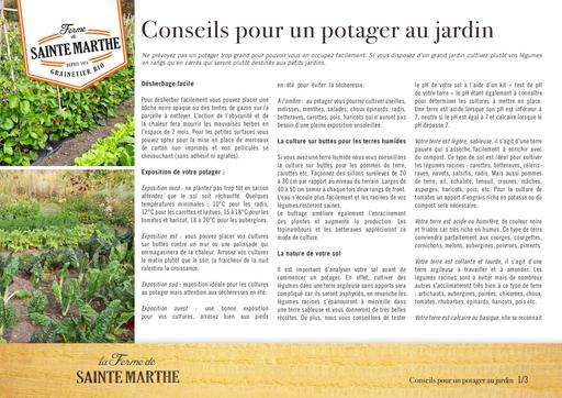 Conseils potager de jardin