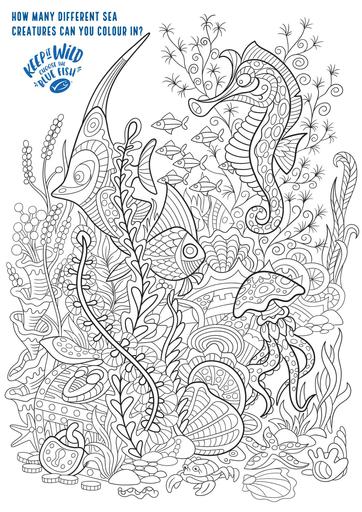 Coloriage msc