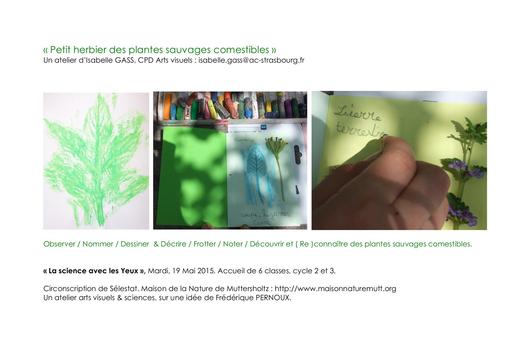 Herbier des plantes comestibles ecole